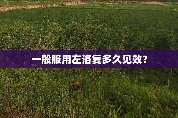 一般服用左洛复多久见效？