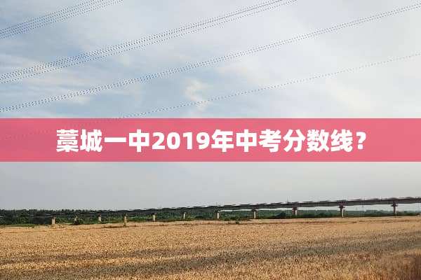 藁城一中2019年中考分数线？