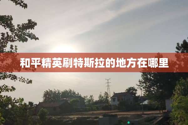 和平精英刷特斯拉的地方在哪里