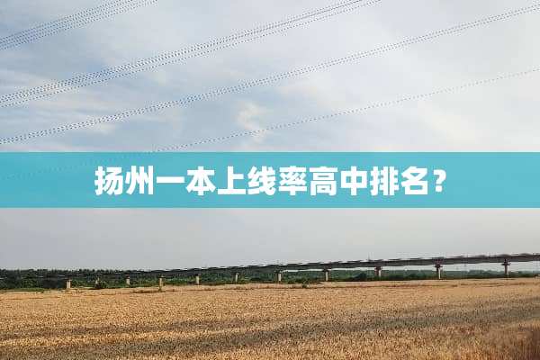 扬州一本上线率高中排名？
