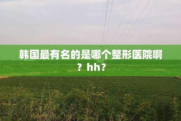 韩国最有名的是哪个整形医院啊？hh？