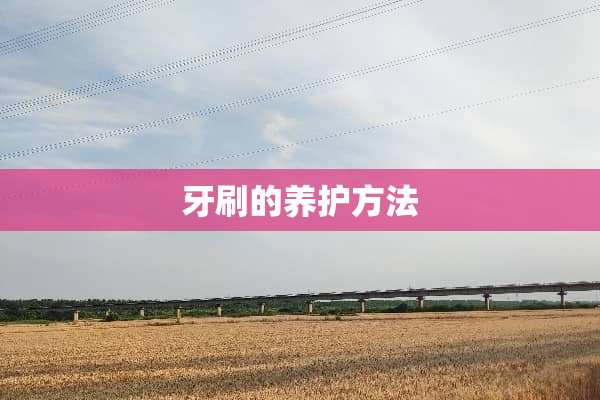 牙刷的养护方法