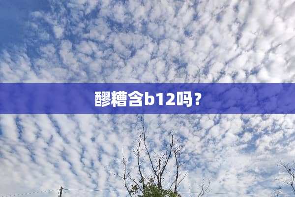 醪糟含b12吗？