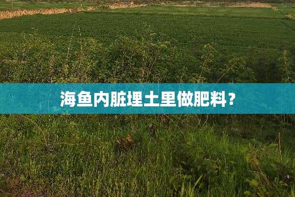 海鱼内脏埋土里做肥料？