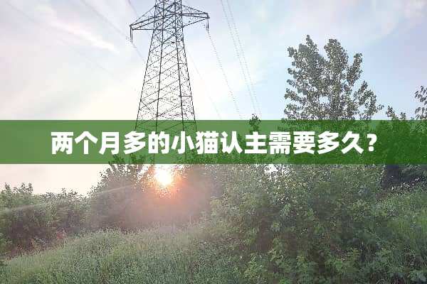 两个月多的小猫认主需要多久？