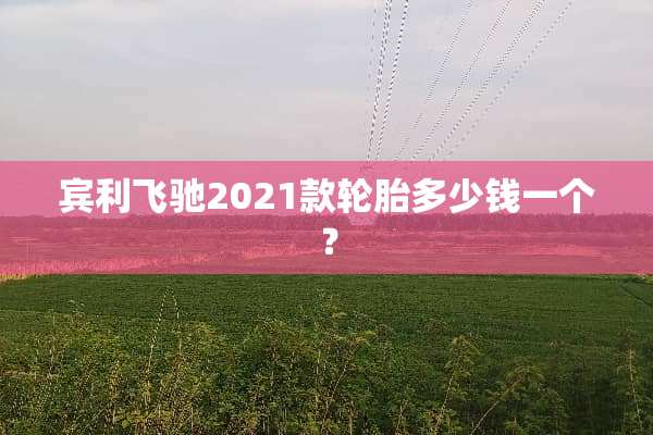 宾利飞驰2021款轮胎多少钱一个？