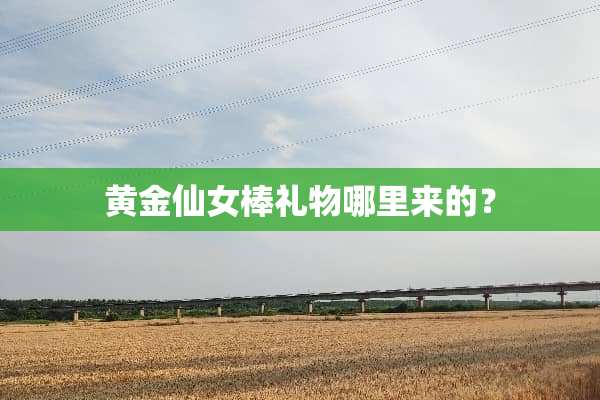 黄金仙女棒礼物哪里来的？