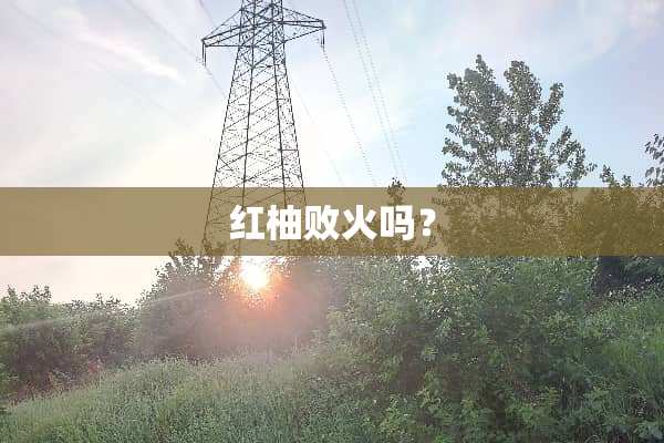 红柚败火吗？