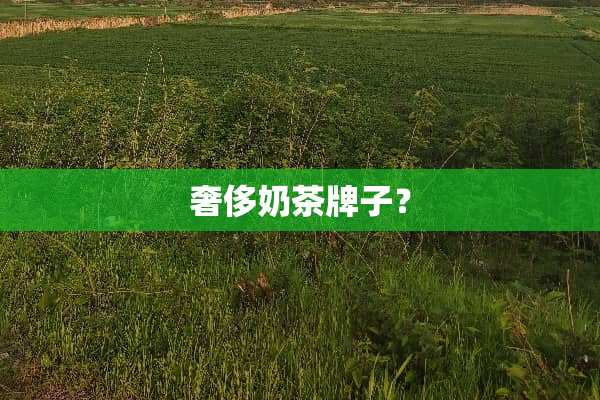 奢侈奶茶牌子？