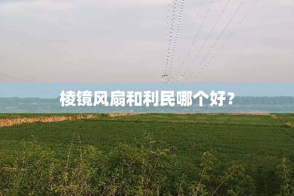 棱镜风扇和利民哪个好？