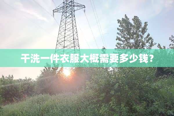 干洗一件衣服大概需要多少钱？