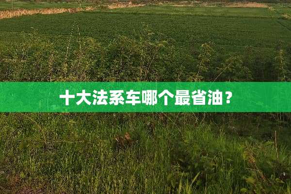 十**系车哪个最省油？