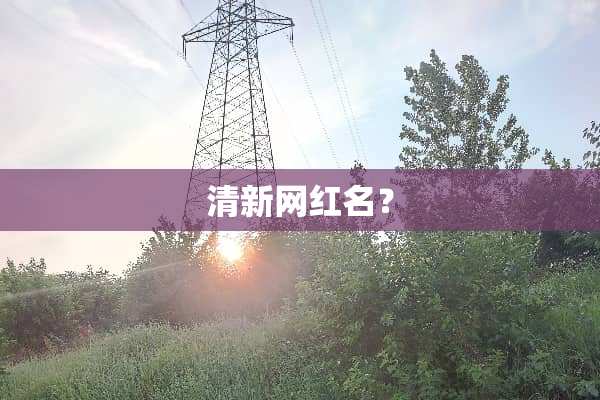 清新网红名？