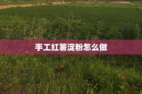 手工红薯淀粉怎么做