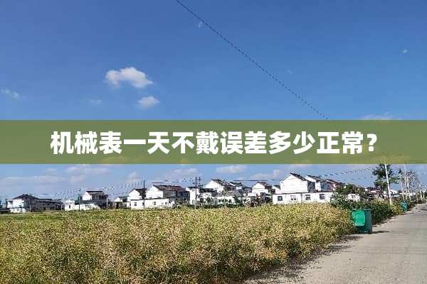 机械表一天不戴误差多少正常？