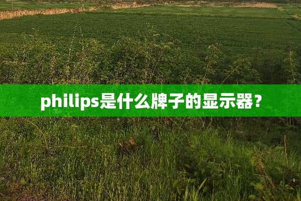 philips是什么牌子的显示器？