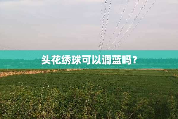 头花绣球可以调蓝吗？
