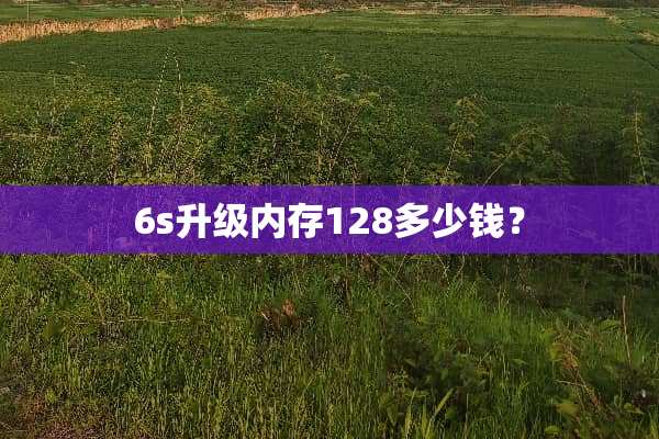 6s升级内存128多少钱？