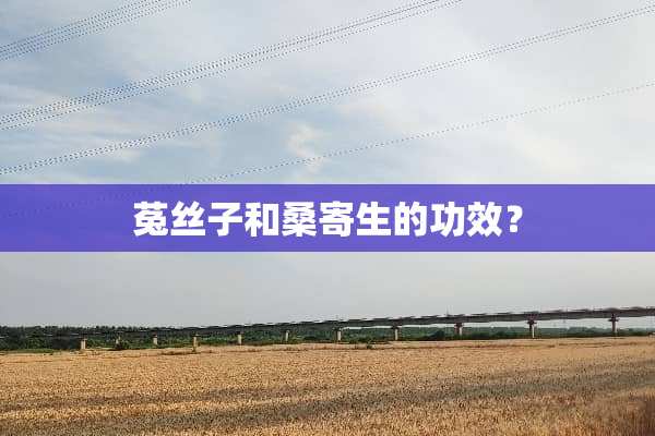菟丝子和桑寄生的功效？