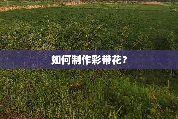 如何制作彩带花？