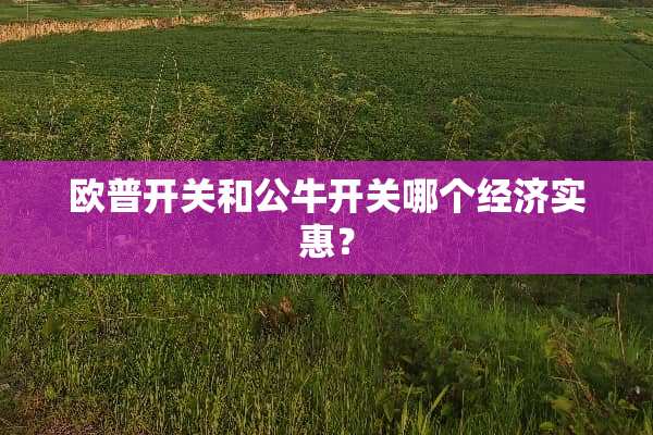 欧普开关和公牛开关哪个经济实惠？