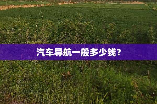 汽车导航一般多少钱？
