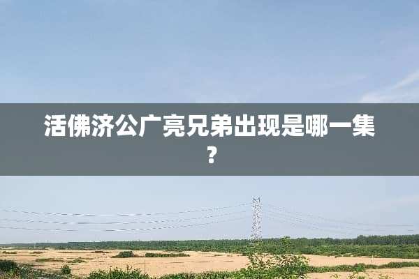 **济公广亮兄弟出现是哪一集？