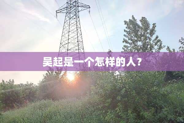 吴起是一个怎样的人？