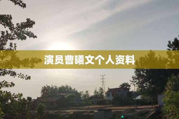 演员曹曦文个人资料