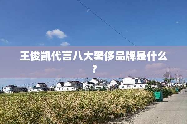 王俊凯代言八大奢侈品牌是什么？