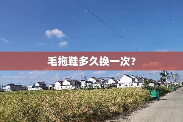 毛拖鞋多久换一次？