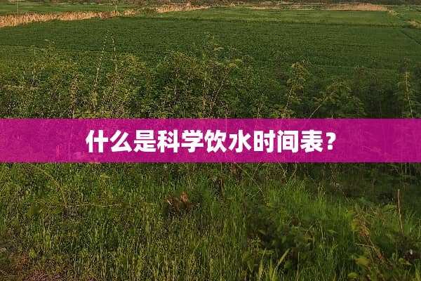 什么是科学饮水时间表？