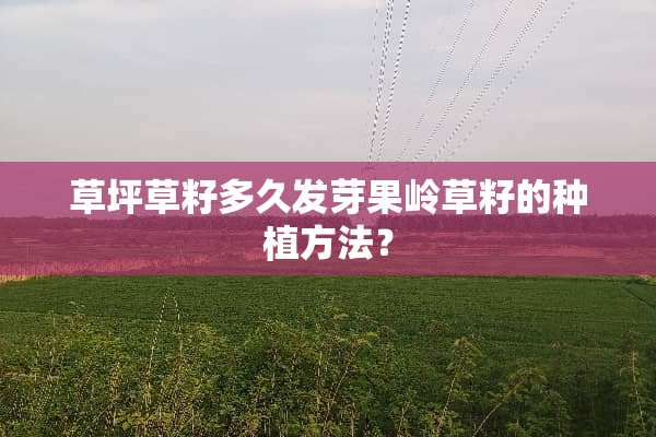 草坪草籽多久发芽果岭草籽的种植方法？