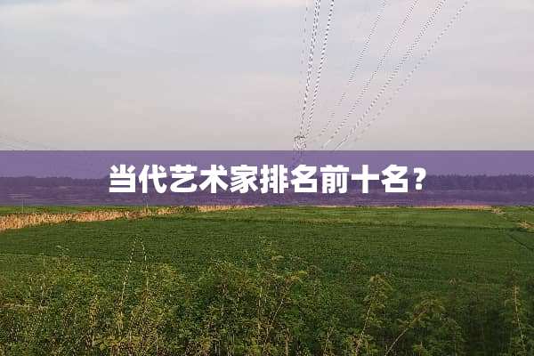 当代艺术家排名前十名？
