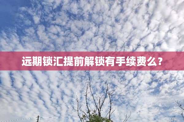 远期锁汇提前解锁有手续费么？