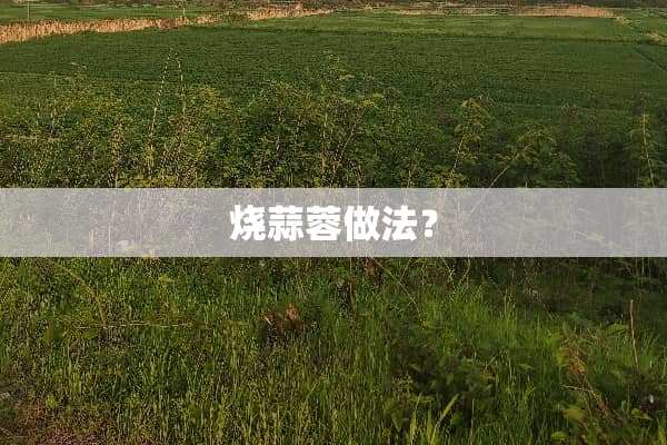烧蒜蓉做法？