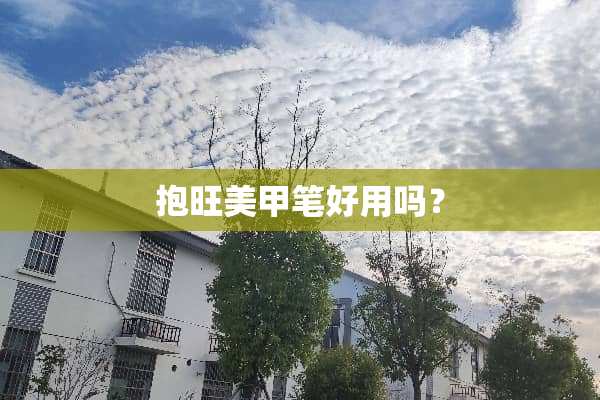 抱旺美甲笔好用吗？