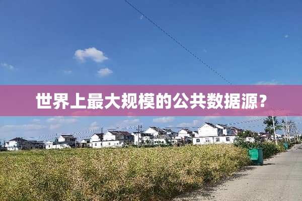 世界上最大规模的公共数据源？