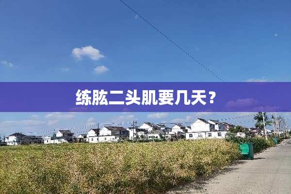 练肱二头肌要几天？