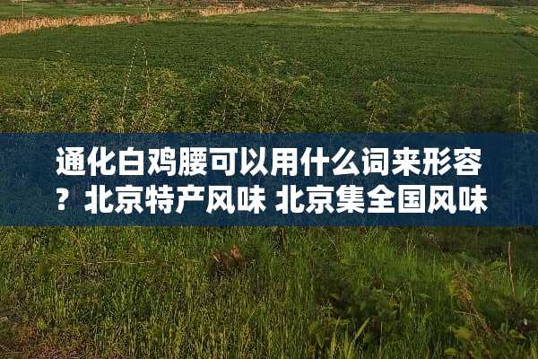 通化白鸡腰可以用什么词来形容？北京特产风味 北京集全国风味佳肴