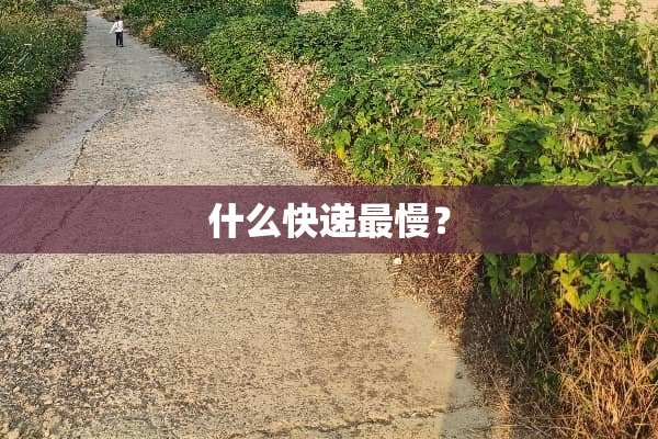 什么快递最慢？