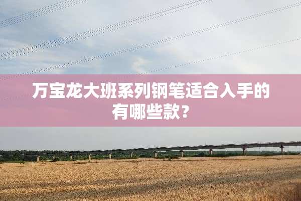 万宝龙大班系列钢笔适合入手的有哪些款？
