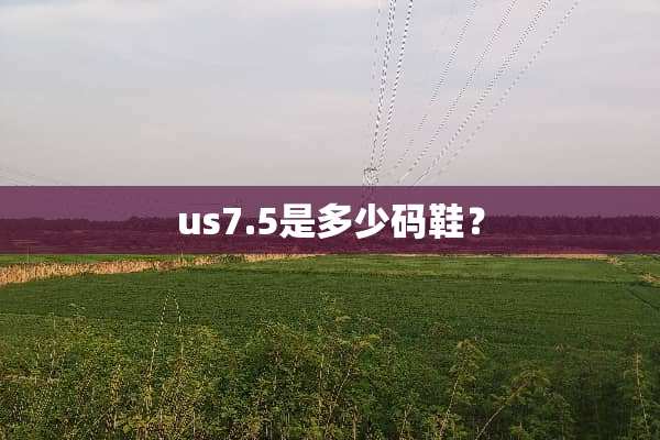 us7.5是多少码鞋？