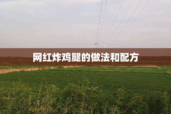 网红炸鸡腿的做法和配方