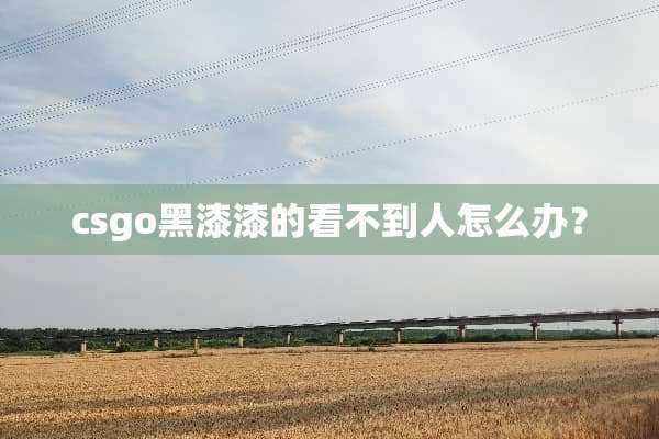 csgo黑漆漆的看不到人怎么办？