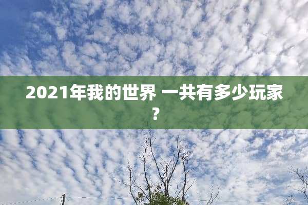 2021年我的世界 一共有多少玩家？