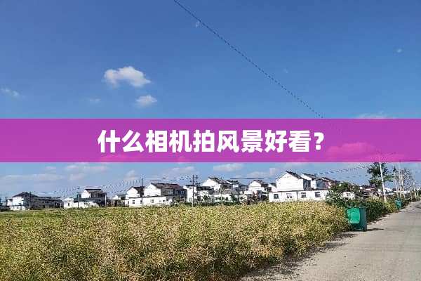 什么相机拍风景好看？