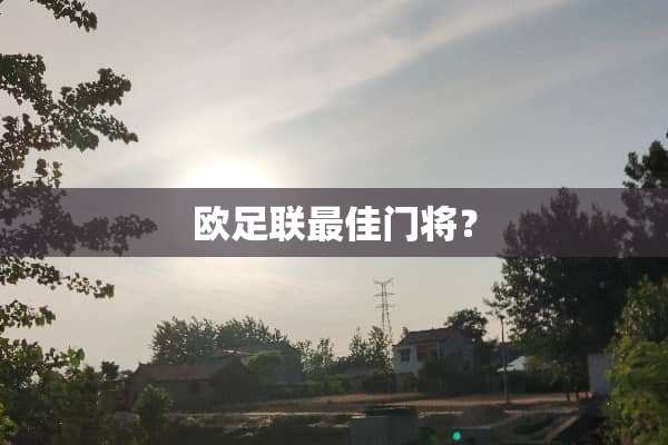 欧足联最佳门将？