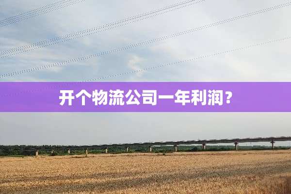 开个物流公司一年利润？