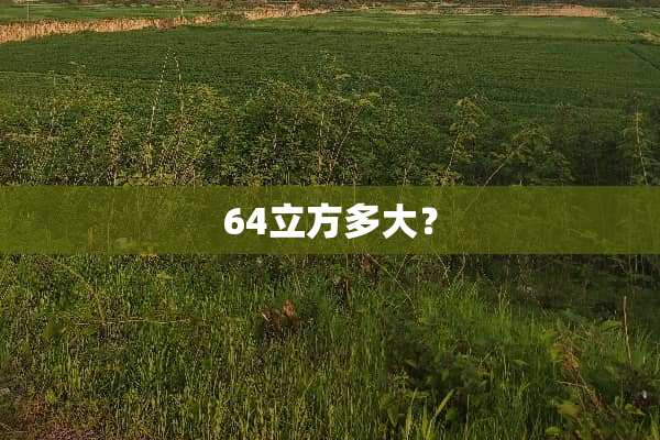 64立方多大？